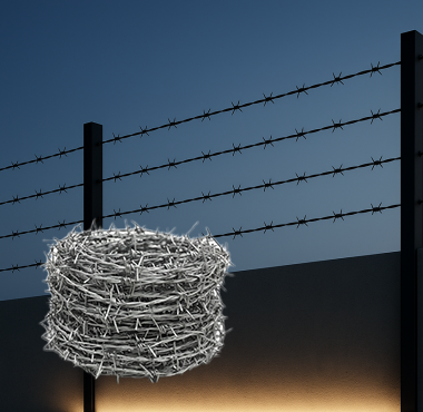 Barbed Wire